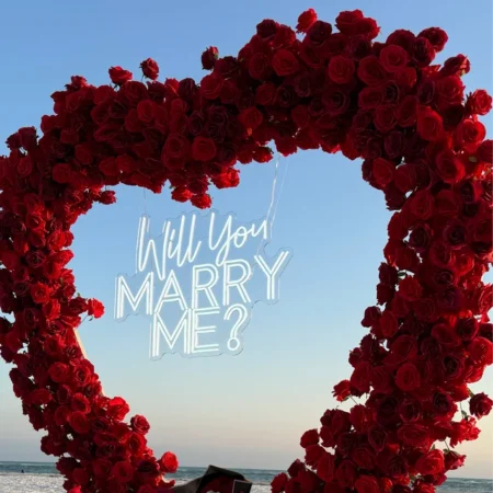Will you marry me neon sign